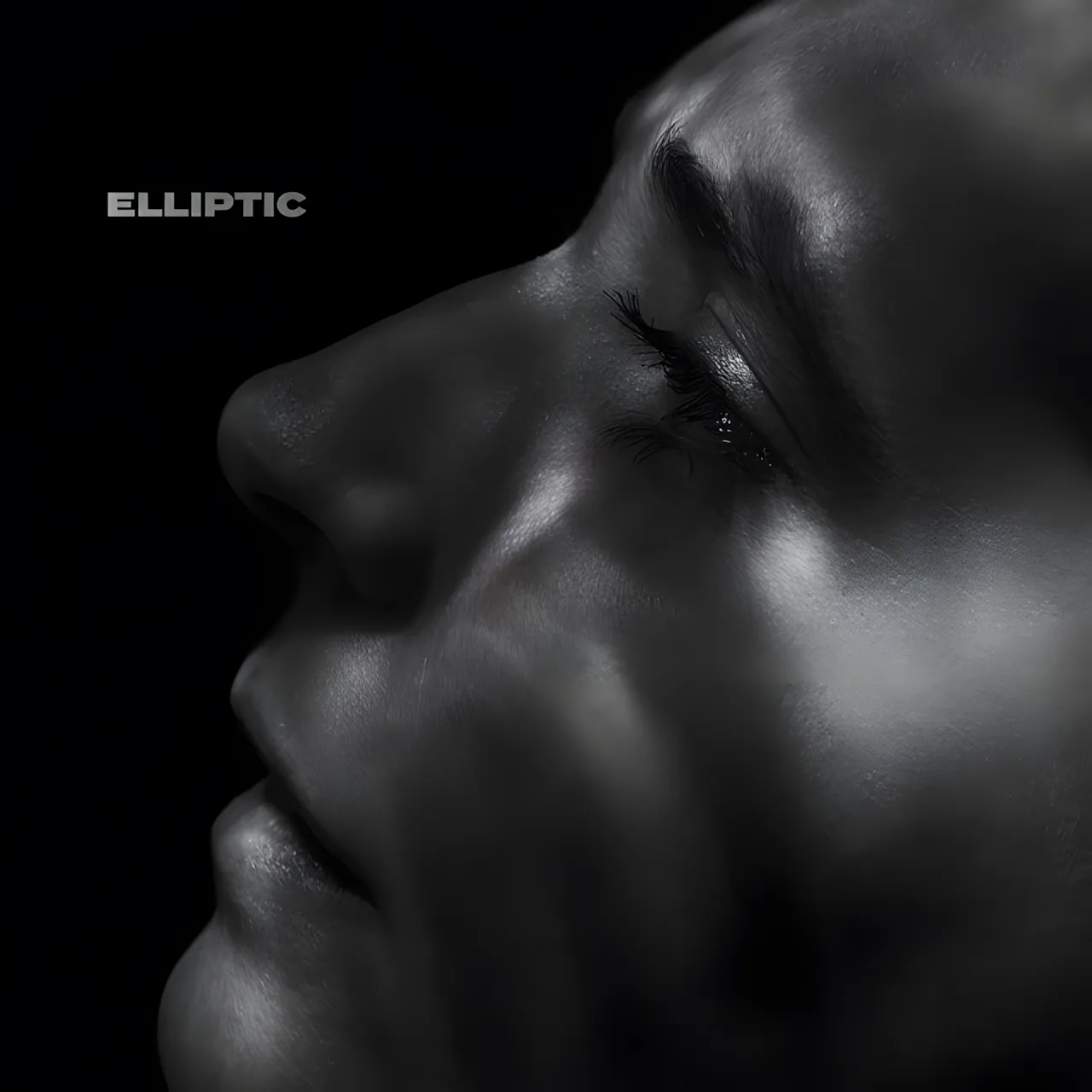 Album cover of Elliptic by Elliptic